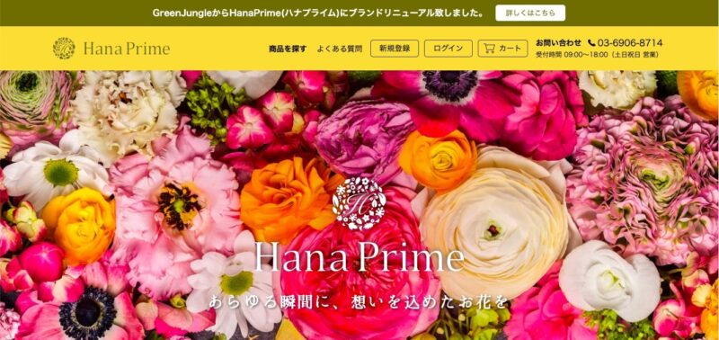観葉植物のおすすめ人気通販サイトHana Prime(Green Jungleからリニューアル)