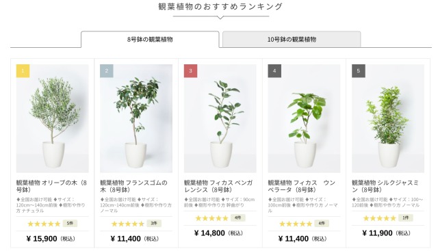 観葉植物のおすすめ人気通販サイトHana Prime（Green Jungleからリニューアル）