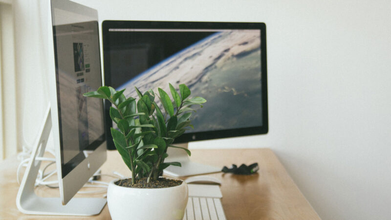 パソコンと観葉植物.jpg