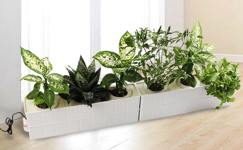観葉植物Q&A:室内で観葉植物を育てるメリットは?