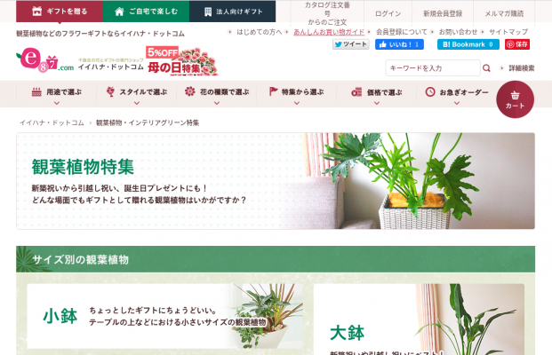 観葉植物のおすすめ人気通販サイトイイハナ・ドットコム(e87.com)