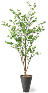 ［おすすめ5］造花(フェイクグリーン)の観葉植物の人気通販サイトPRIMA Online（プリマオンライン）