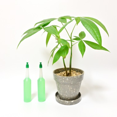 観葉植物のおすすめ栄養剤 活力剤 はコチラ どんなときに必要か 選び方や使い方も解説します 植物マガジン