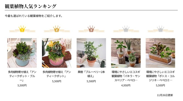 観葉植物のおすすめ人気通販サイト日比谷花壇(hibiyakadan.com)