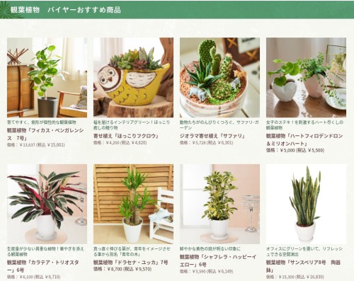 観葉植物のおすすめ人気通販サイトイイハナ・ドットコム(e87.com)