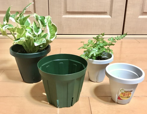 観葉植物でスリット鉢 根張り鉢 を使うメリットは デメリットや特徴 使い方も解説します 植物マガジン