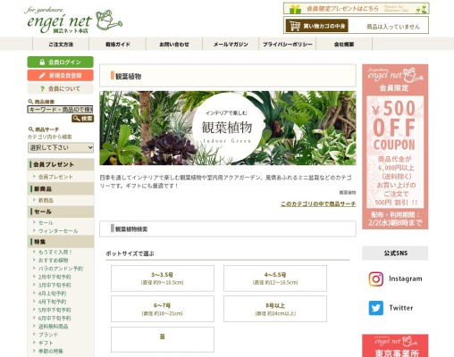 ｢大型観葉植物の購入｣におすすめの人気通販サイト：園芸ネット