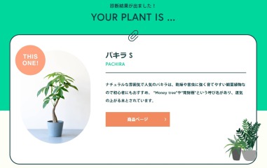 ｢かわいい･おしゃれな観葉植物がほしい人｣におすすめ →【AND PLANTS(アンドプランツ)】